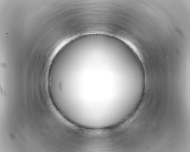 X0000091350949200708101034
