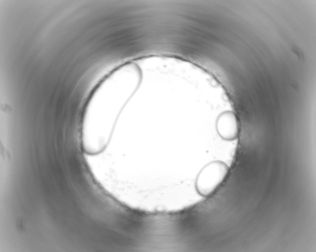 X0000091350950200708101034
