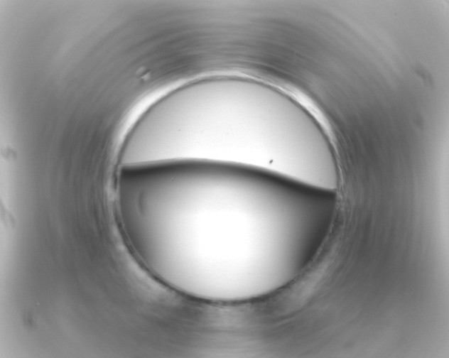 X0000091350951200708101034