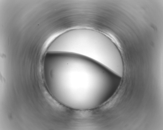 X0000091350952200708101034