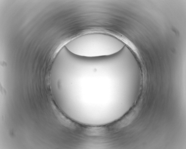 X0000091350953200708101034