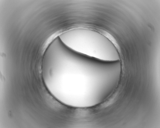 X0000091350954200708101035