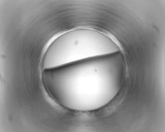 X0000091350955200708101035