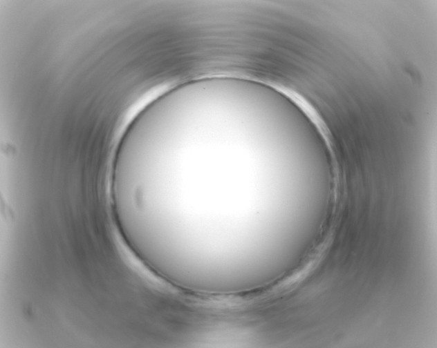 X0000091350957200708101035