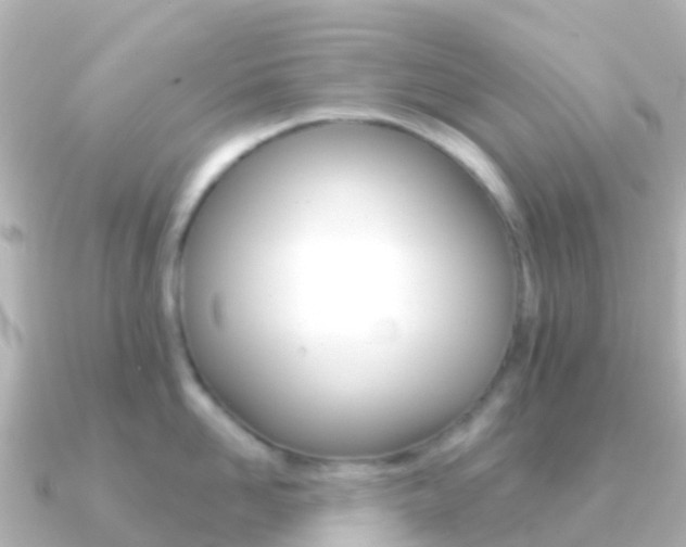 X0000091350958200708101035