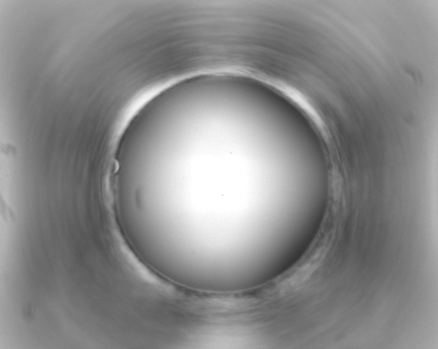 X0000091350959200708101035