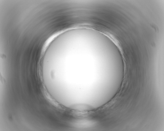X0000091350960200708101035