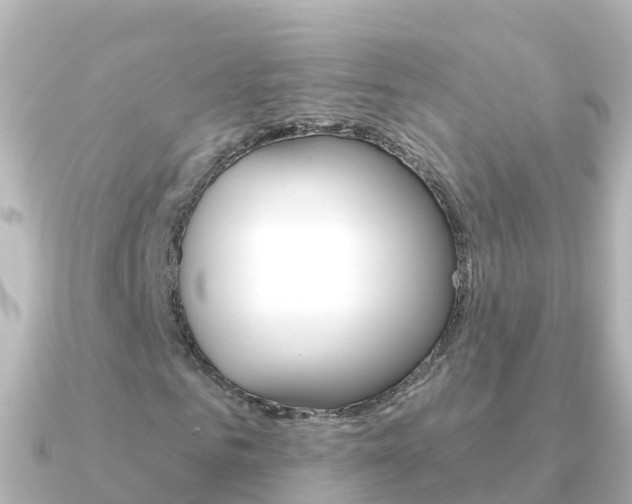 X0000091350961200708101034