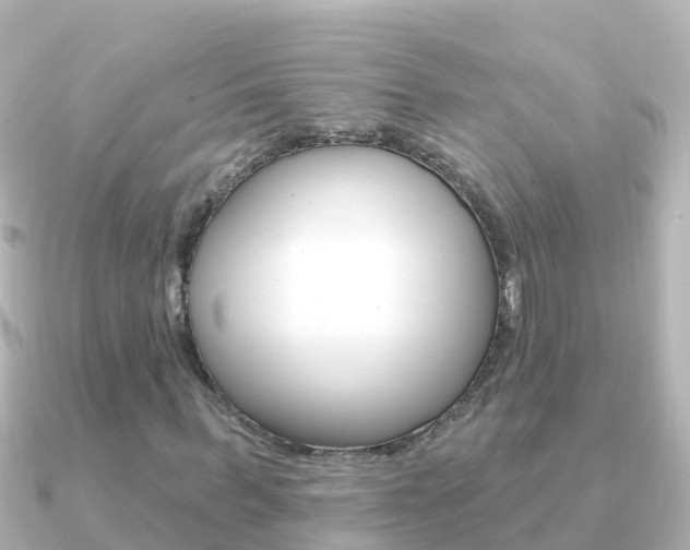 X0000091350963200708101034