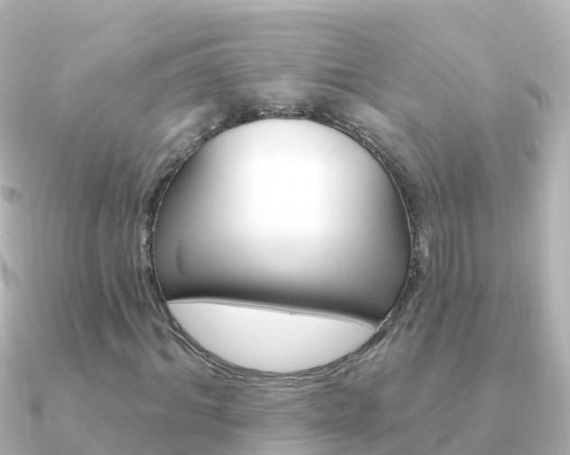 X0000091350964200708101034
