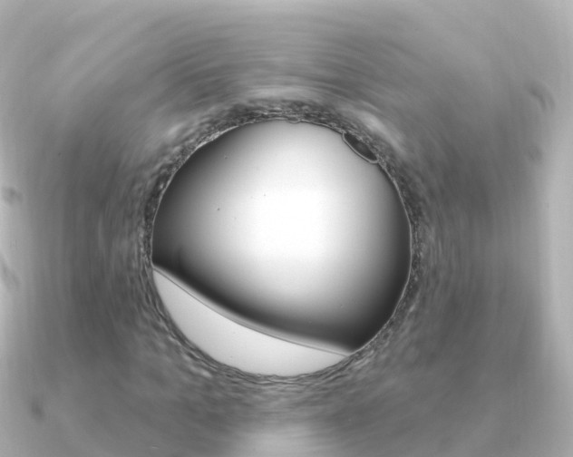 X0000091350965200708101034