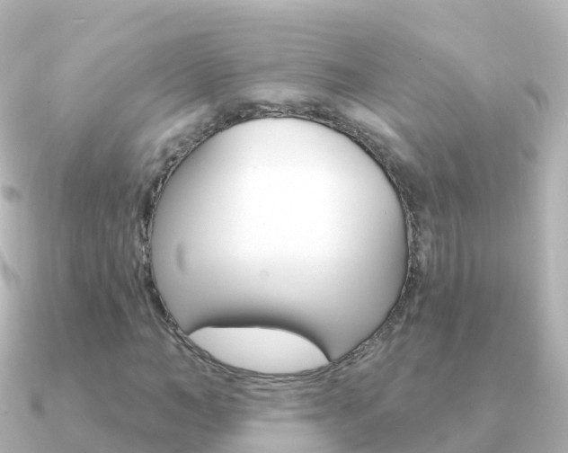 X0000091350966200708101034