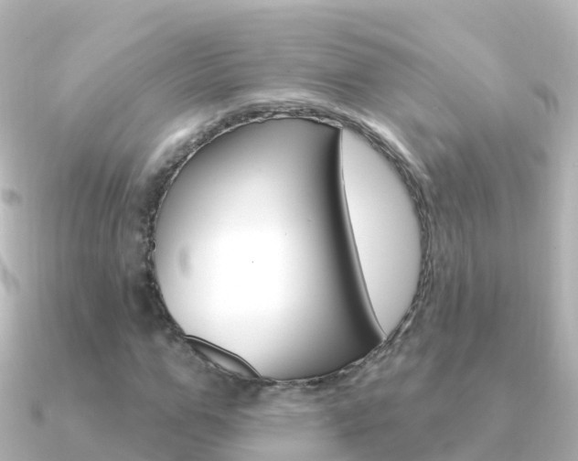 X0000091350967200708101034