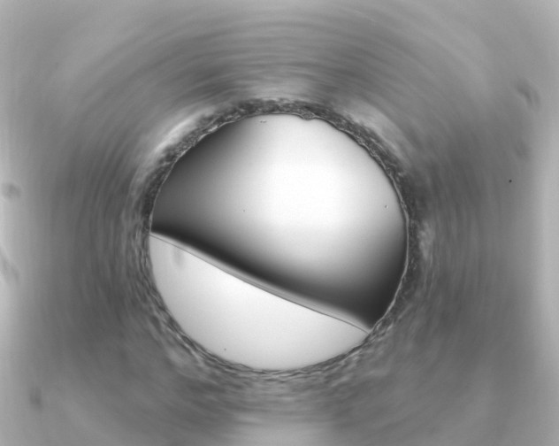 X0000091350968200708101034