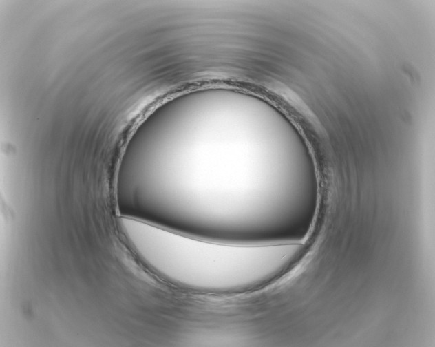 X0000091350969200708101034