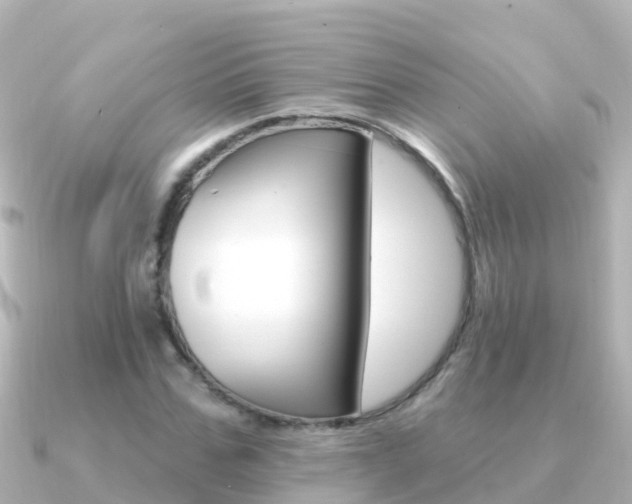 X0000091350971200708101034
