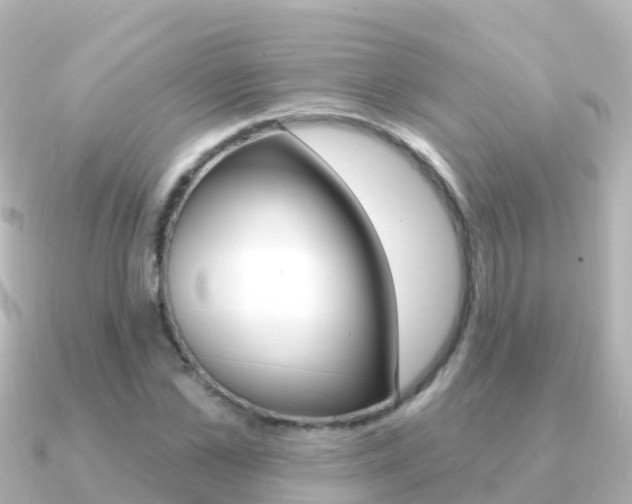 X0000091350973200708101034