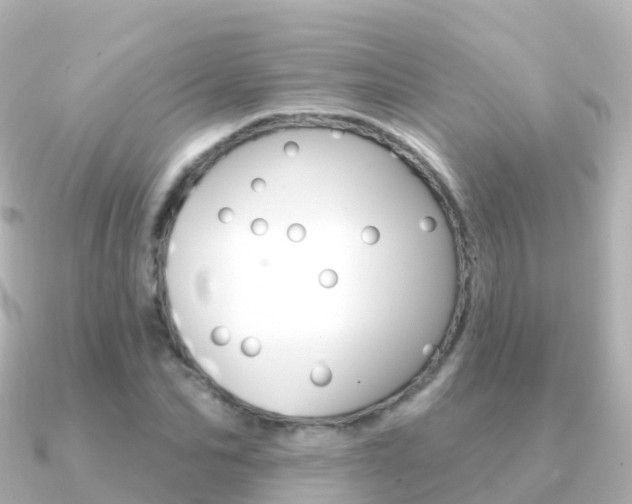 X0000091350974200708101034
