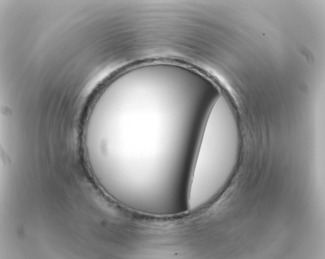 X0000091350975200708101034