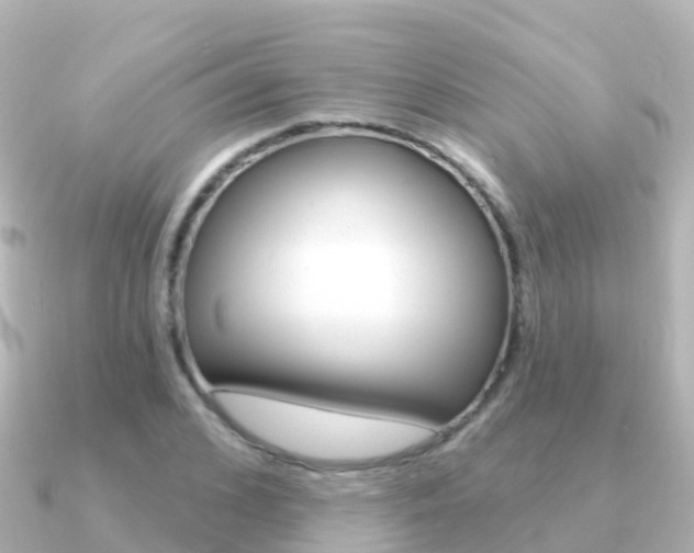 X0000091350976200708101034