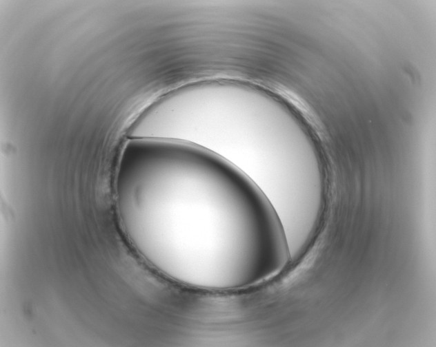 X0000091350977200708101034