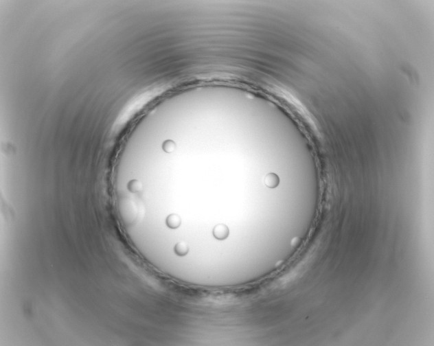 X0000091350978200708101034