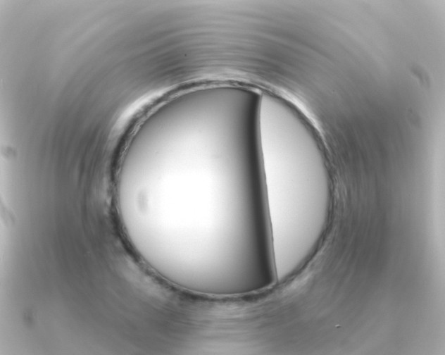 X0000091350979200708101034