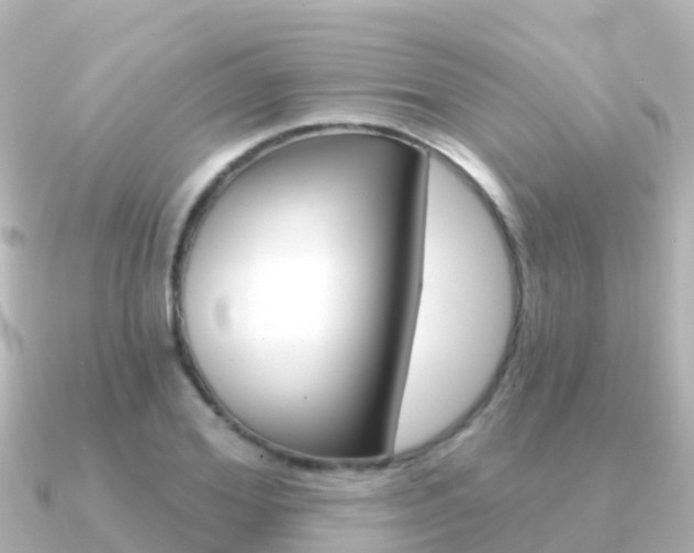 X0000091350980200708101034