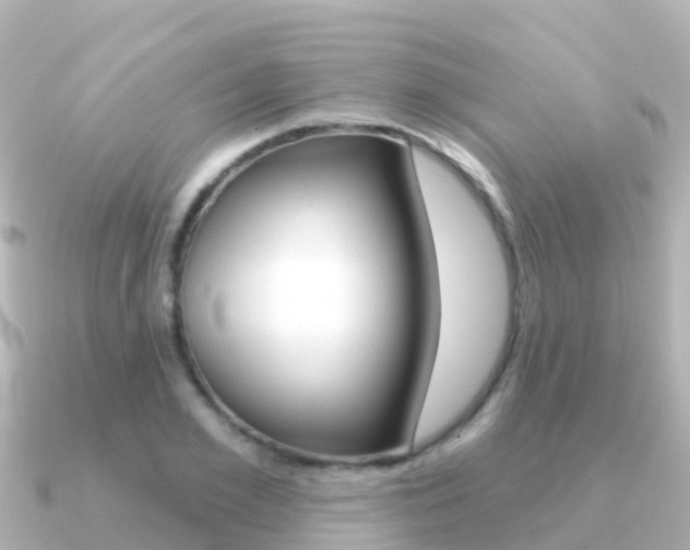 X0000091350981200708101034