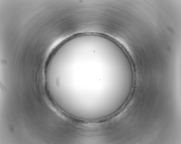 X0000091350982200708101034