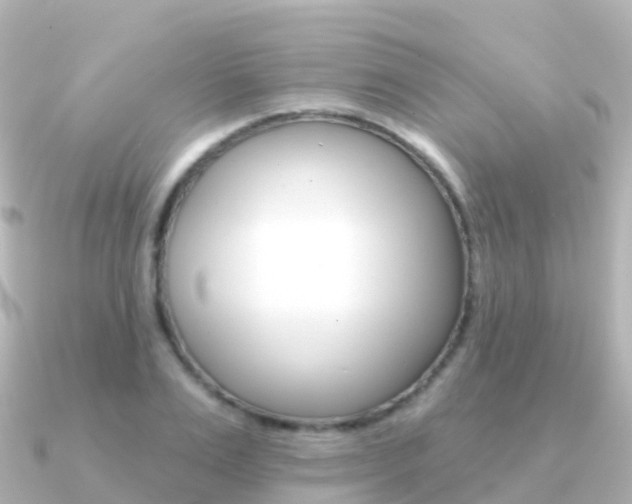 X0000091350983200708101034