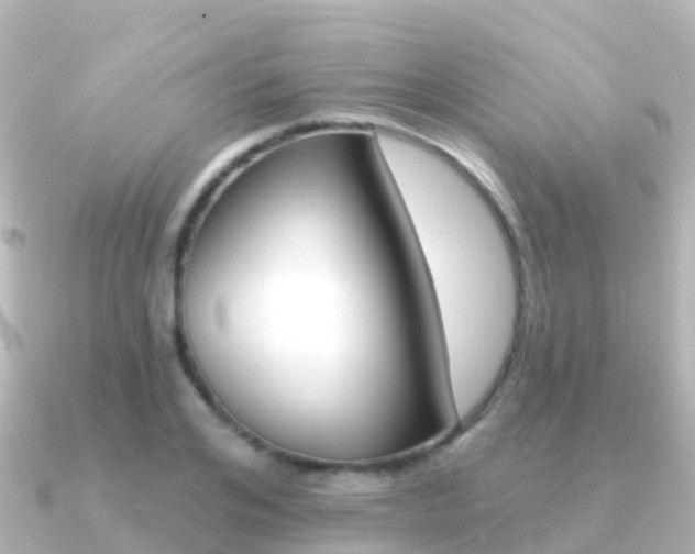 X0000091350984200708101034