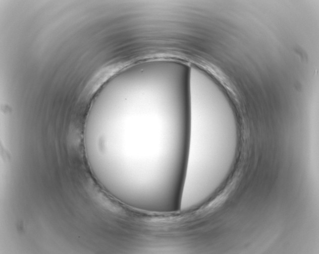 X0000091350985200708101034