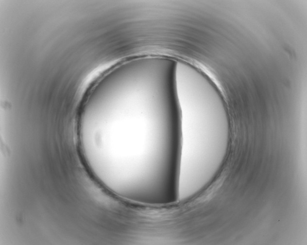 X0000091350987200708101034