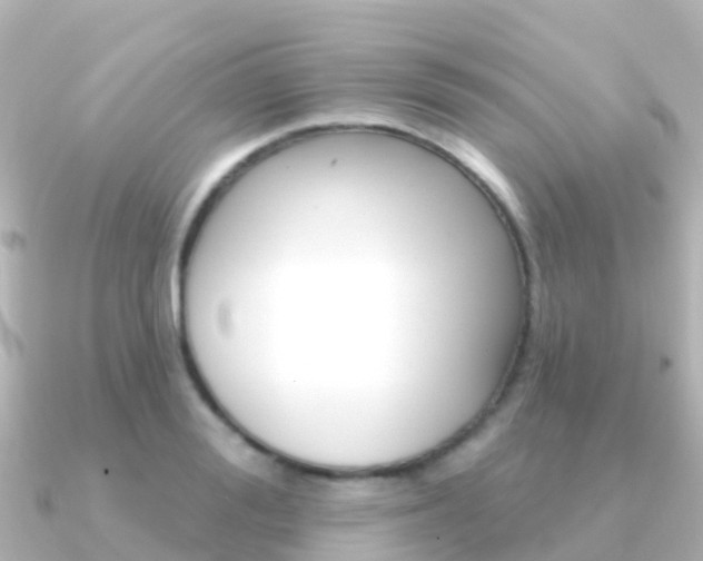 X0000091350988200708101034
