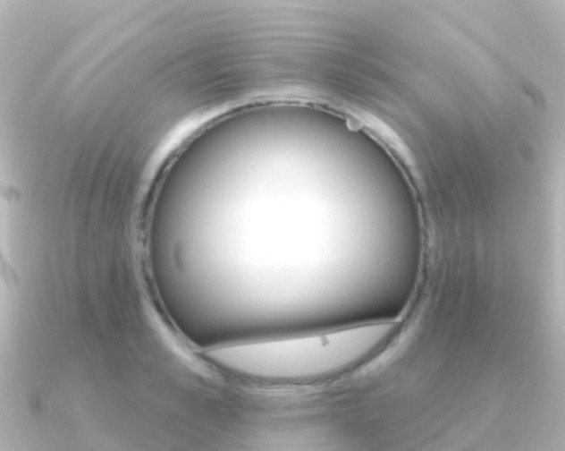 X0000091350989200708101034