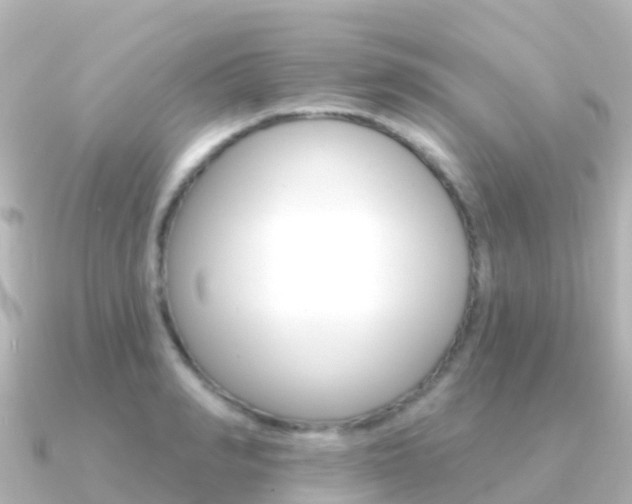 X0000091350990200708101034