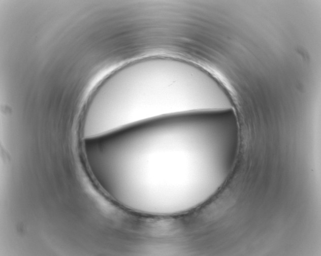 X0000091350991200708101034