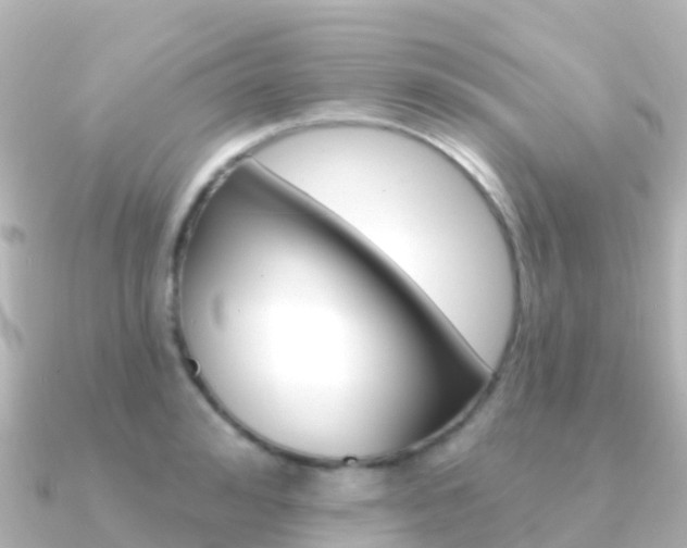 X0000091350992200708101034
