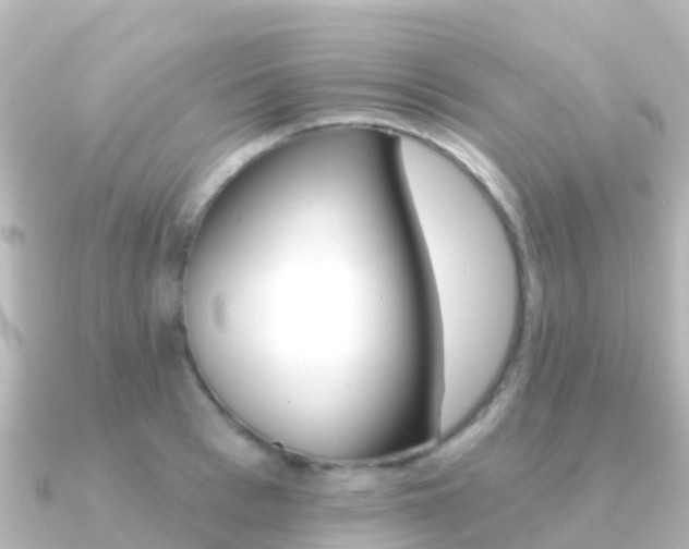 X0000091350993200708101034