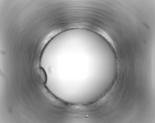 X0000091350994200708101034