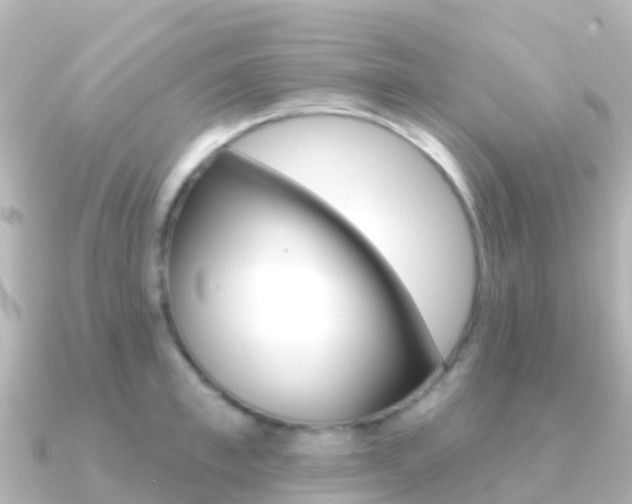 X0000091350997200708101034