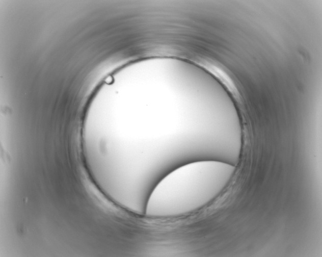 X0000091351000200708101034
