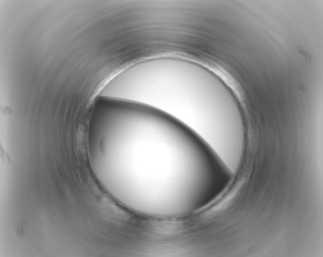 X0000091351001200708101034