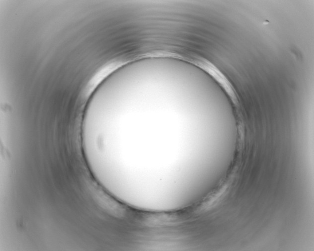 X0000091351002200708101034