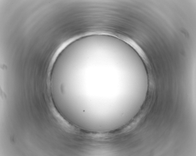 X0000091351004200708101034