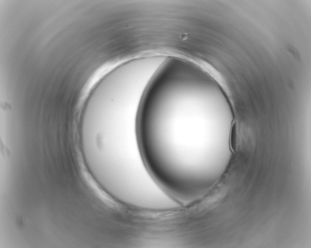 X0000091351005200708101034