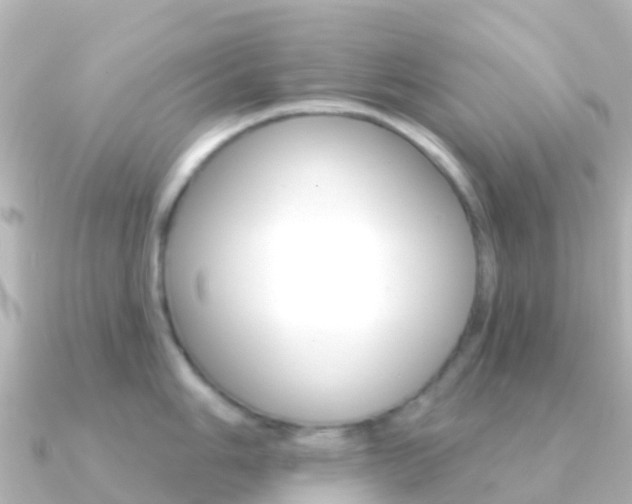 X0000091351006200708101034