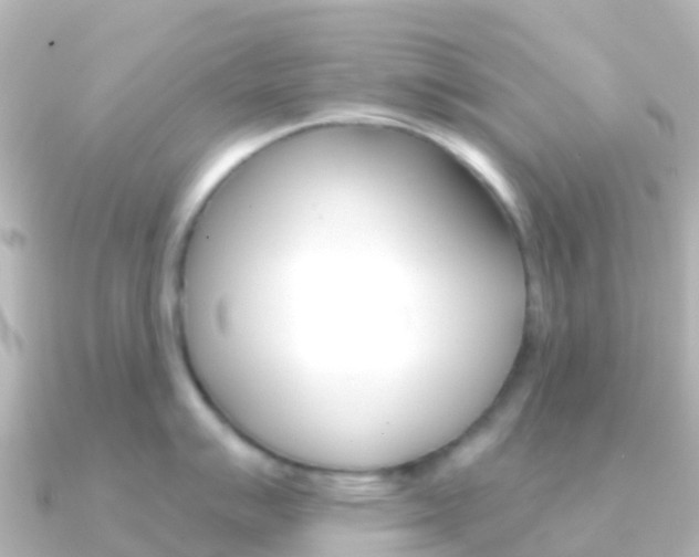 X0000091351007200708101033