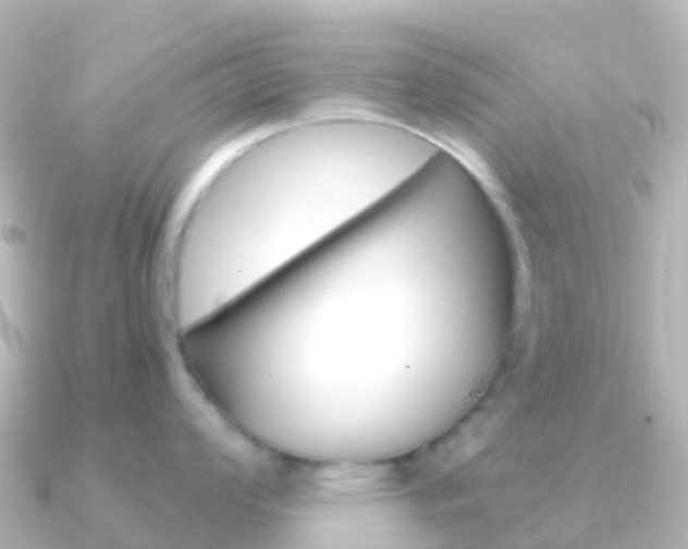 X0000091351008200708101033